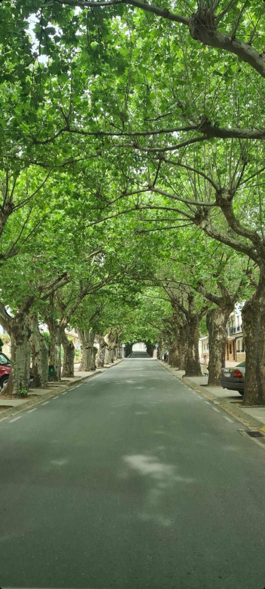 Apartamento Cobre Riópar Exteriér fotografie